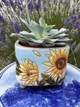 Sun Flower Ceramic Succulent Planter Pots With Drainage For Garden. Fixed Price $19.00.