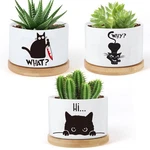 Funny Cat Planter Set 3 Ceramic Pots With Drainage For Indoor Succulents. Fixed Price $27.46.