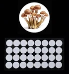 32 Synthetic Filter Paper Stickers 20MM 0.3 Disc Mushroom Cultivation. Fixed Price $8.77.