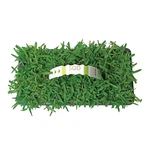 Augustine Palmetto Grass Plugs (16-COUNT) Natural, Affordable Lawn Improvemen. Fixed Price $49.48.