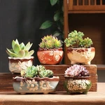 5PCS Flower Ceramic Succulent Planter Pots With Drainage For Garden Set. Fixed Price $19.82.