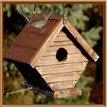 Rustic Wren Bird House Solid & Metal Roof WL24232 Woodlink Free Shipping. Fixed Price $28.95.
