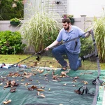 Robelle Premium 30' X 50' Rectangle In-ground Swimming Pool Leaf Net Cover. Fixed Price $349.99.