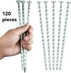 Eisensp 10-INCH Galvanized Spiral Landscape Stakes 120 Pcs. Fixed Price $36.00.