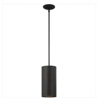 Volume Lighting Medium 1-LIGHT Black Aluminum Outdoor Cylinder Hanging Pendant. Fixed Price $29.93.