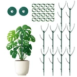 Mazubohoy 10 Monstera Plant Support, 75INCH PACK+20PCS Clips, Green. Fixed Price $25.29.