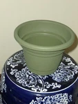 Bloem Tahoe 7 Inch Garden Pots / Planter Living Green Set Of 12. Fixed Price $55.00.