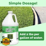 Augustine Grass Liquid Fertilizer 1 Gallon Lawn Food Green Growth. Fixed Price $64.99.