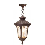 Livex Lighting Oxford Outdoor Chain Hang Imperial Bronze. Fixed Price $162.99.