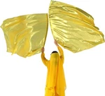 Munafie Worship Flags With Flex Rods Angel Wing Dance Church Gold. Fixed Price $41.07.
