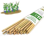 Plant STAKES,4FT Longer Sturdy Natural Bamboo Garden Stakes,gaginang 25PCS Ba.... Fixed Price $34.44.