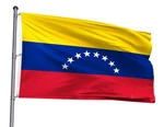 Extra Large Flag 8X12FT - Giant Venezuelan National Polyester Printed. Fixed Price $91.35.