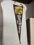 Unique Vintage East St. Louis, Ill. Pennant Banner Around 25" Long, "as Is.". Fixed Price $45.00.