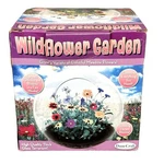 2017 Dunecraft Wildflower Garden Glass Terrarium Kit Grow Flowers Diy. Fixed Price $19.99.
